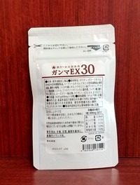 ガンマEX-30